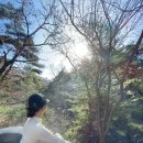 모요우 이미지