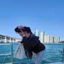 요트학교 | 부산 요트투어 주간 2시 요트가이 아이랑 후기