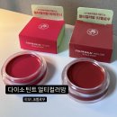 멜로우브릭 | 다이소 손앤박 멀티컬러밤 샤넬 틴트밤 저렴이 버젼 피오니&멜로우 후기
