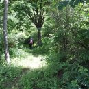 오전약수관광단지 이미지