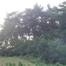 성덕동-1 이미지