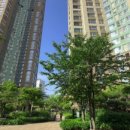 요진 세탁소 이미지