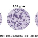 ㈜국제신소재 이미지