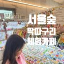하랑숲유치원 | [서울 성수동] 아이랑 함께 만드는 특별한 하루 | 서울 숲 딱따구리 체험카페 방문 후기 | 내돈내산