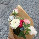 플라델리