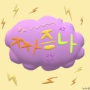 필라이브 이미지