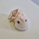 뽑기아지트 이미지