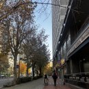 우리메디케어 | 마포 공덕 서울메디케어 직장인 건강검진 MRA 및 위 대장 내시경 후기