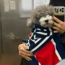 정릉61 이미지