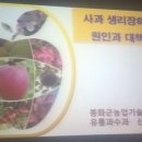 이병옥농장 네이버블로그