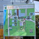 신만농장 | 제주 감귤 체험 추천｜봉봉 감귤 체험 농장 3월 천혜향 따기 체험 후기