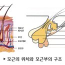 도나컨시어지 이미지