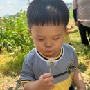 자인농원 - 포천시 | 자인농원