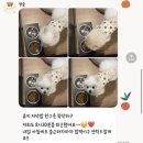 멍멍이와 숲속에서 이미지