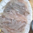 직거래장터마트 | 광주 회포장 활어, 해산물 포장판매전문점 수산물 직거래장터 수완점 후기 | 도다리회 매운탕 포장