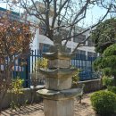 대구의 석탑--25 이미지