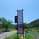 야생화편지 | 멍게비빔밥 먹으러 갔다가 들깨수제비에 반한집 거제맛집 [야생화편지] 식사후기!!