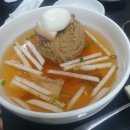강남 평냉 [청간막국수] 만두 맛집🥟 재방문 후기
