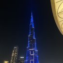 삼성마을 녹화터널(3단지쪽) | 두바이 환승 1일 투어 후기｜팜주메이라·버즈알아랍·두바이몰·수크메디나·마리나·미래박물관·알...