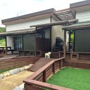 웰컴독 애견펜션 이미지