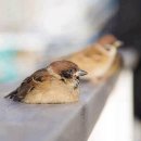 밝은내일안과의원 이미지