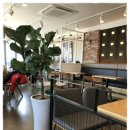 이디야커피 영주가흥사거리점 이미지