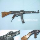 STG Daum카페