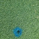 하이트골프존(스크린)(486) | 타이거cc - 노캐디 야간 라운드 2인도 추가금 없이 가능한 골프장~~