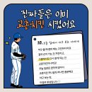 허니푸드 - 안산시 단원구 | 야구에는 역시 교촌치킨 허니갈릭! 집관하면서 제대로 즐긴 야구푸드 후기 🍗⚾