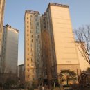 분당-209 이미지