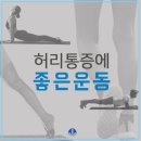 허리 근력 키우기로 허리 통증을 예방하세요! 이미지