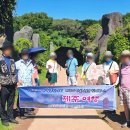 유한회사  제주사랑여행사 | 제주 미니버스 단체 투어 기사 포함으로 즐거움 가득