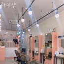 라미샵 네이버블로그