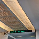 상하이한의원 | [중국/상하이] 북적북적 덕질여행 2탄