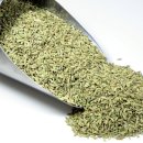 한의허브나라 이미지