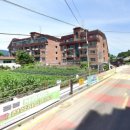 경기도 양평군 양수초등학교 이미지