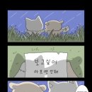 잔잔 이미지