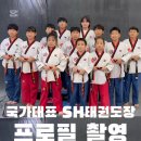 국가대표 SH 태권도장 이미지