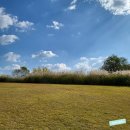 순천만국가정원(동문) | [순천만국가정원 가을단풍] 서문·동문 실시간 산책 후기