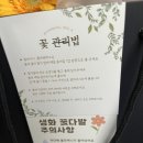 블루밍히아