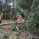 표선해오름공인중개사사무소 이미지