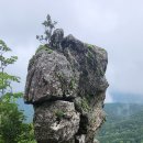 『소백산종주』..죽령~구인사 이미지