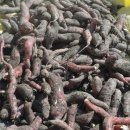 미자네 농장 이미지