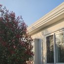 성산읍 푸른마을 | 제주도 성산읍 신산포구 1인 숙소 '한낮의 꿈 스테이'