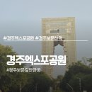 엑스포(아)4단지경로당 | 주차 걱정 없는 경주엑스포대공원, 무료입장으로 즐기는 경주 보문 산책 완벽 가이드