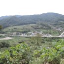 대장금마실길(4코스) 이미지