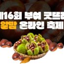 쿄쿄몰