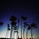 별헤는밤 이미지