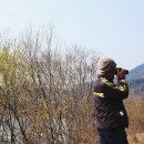 금강올레길 이미지