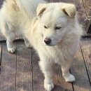 개편한집 이미지